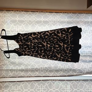 Maggy London Dress